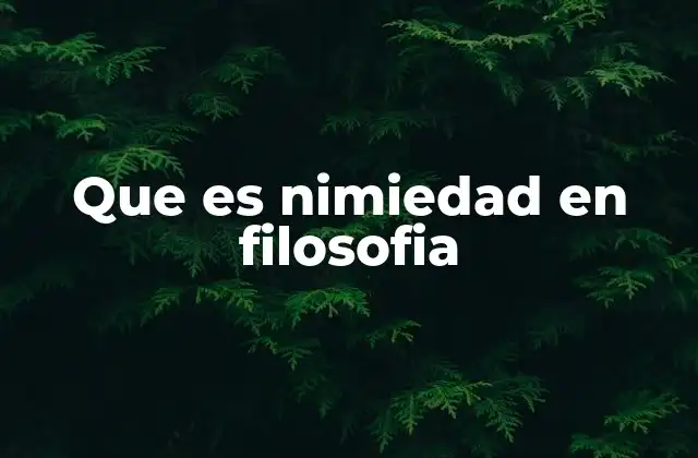 Que es Nimiedad en Filosofia