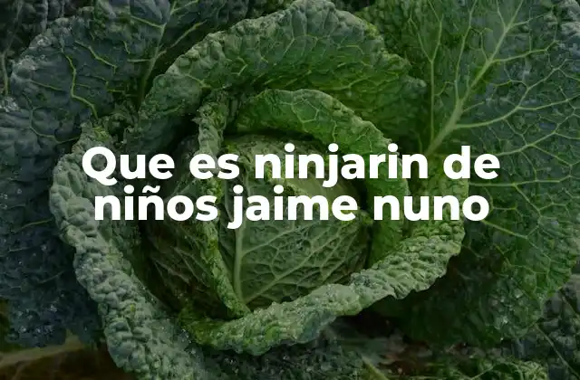 Que es Ninjarin de Niños Jaime Nuno