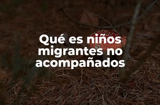 Qué es Niños Migrantes No Acompañados