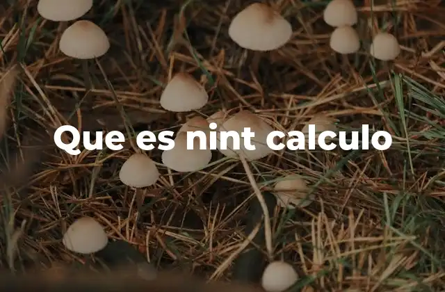 Que es Nint Calculo