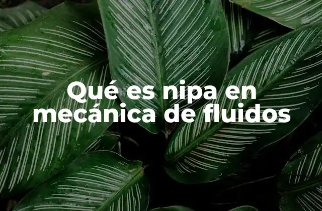 Qué es Nipa en Mecánica de Fluidos