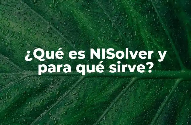 ¿qué es Nisolver y para Qué Sirve?
