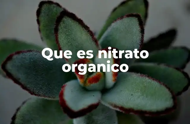 Que es Nitrato Organico