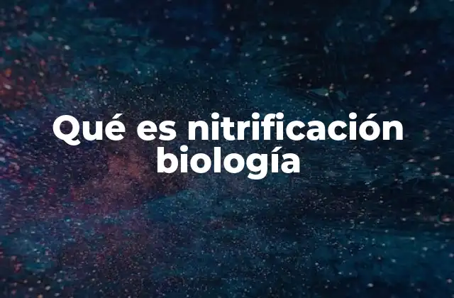 Qué es Nitrificación Biología