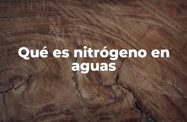 Qué es Nitrógeno en Aguas