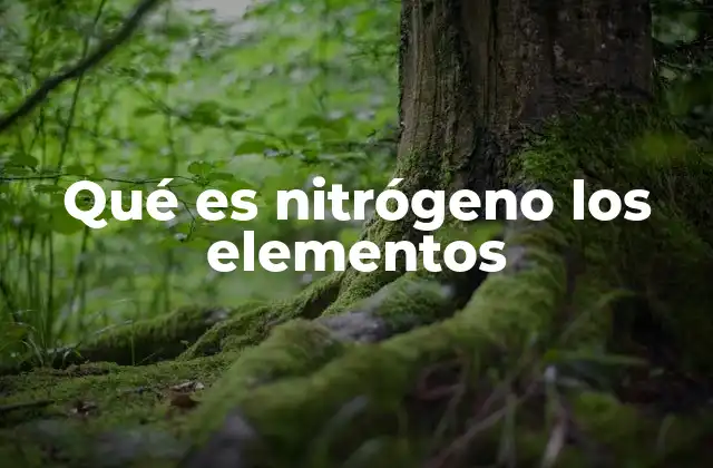 Qué es Nitrógeno los Elementos