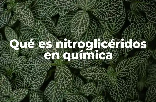 Qué es Nitroglicéridos en Química