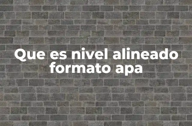 Que es Nivel Alineado Formato Apa