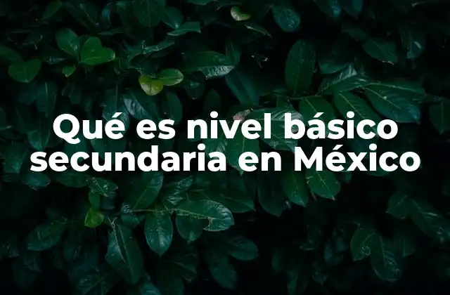 Qué es Nivel Básico Secundaria en México