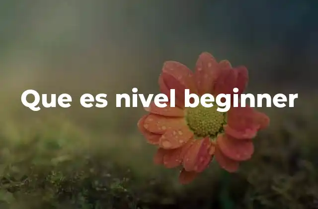 Que es Nivel Beginner