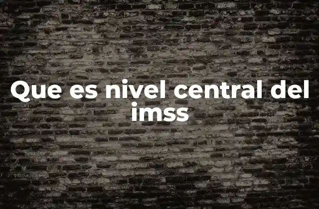 Que es Nivel Central Del Imss