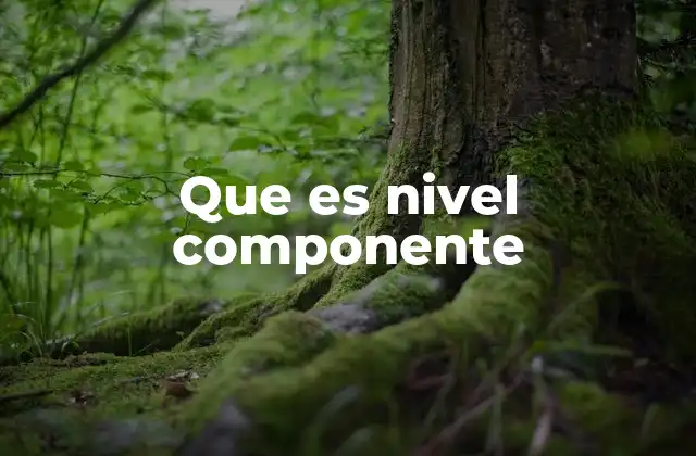 Componentes como piezas de un sistema más grande