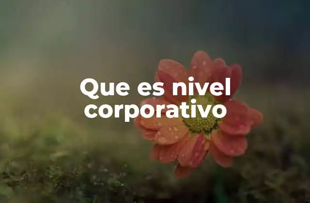 Que es Nivel Corporativo