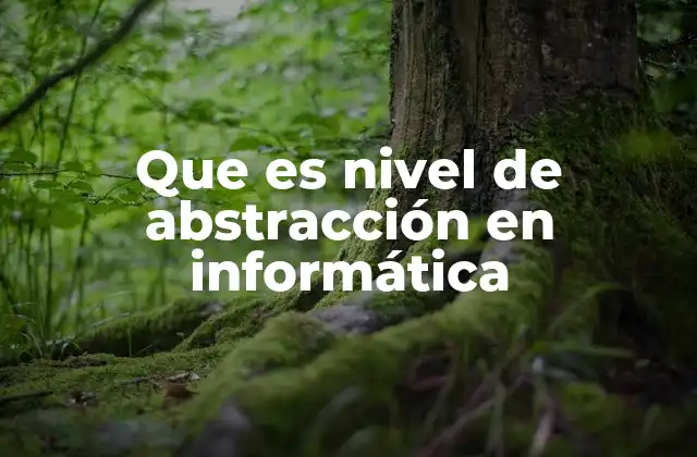 Que es Nivel de Abstracción en Informática