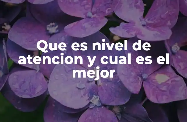 Que es Nivel de Atencion y Cual es el Mejor