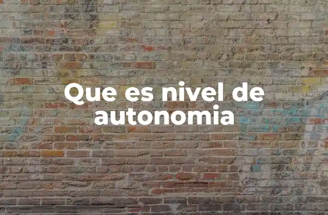 Que es Nivel de Autonomia