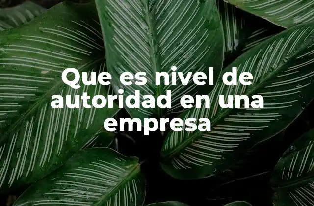 Que es Nivel de Autoridad en una Empresa