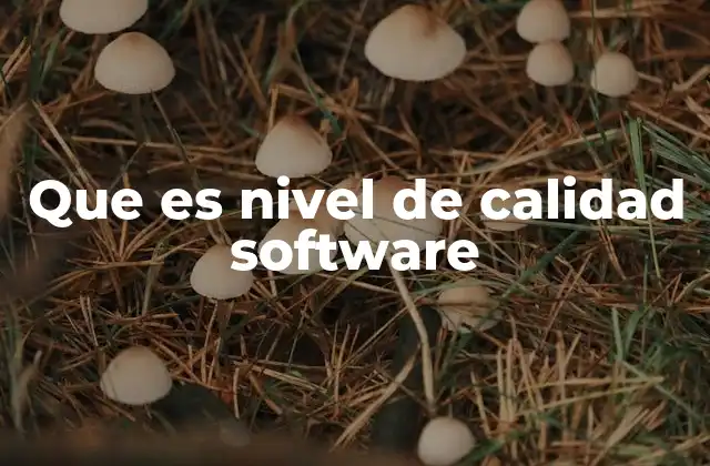 Que es Nivel de Calidad Software