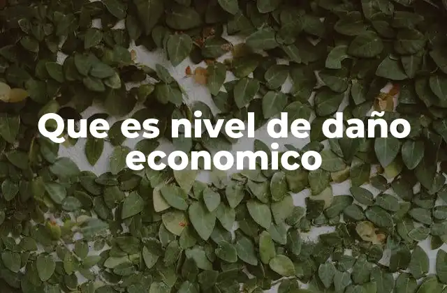 Que es Nivel de Daño Economico