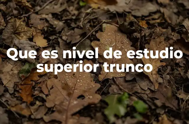 Que es Nivel de Estudio Superior Trunco