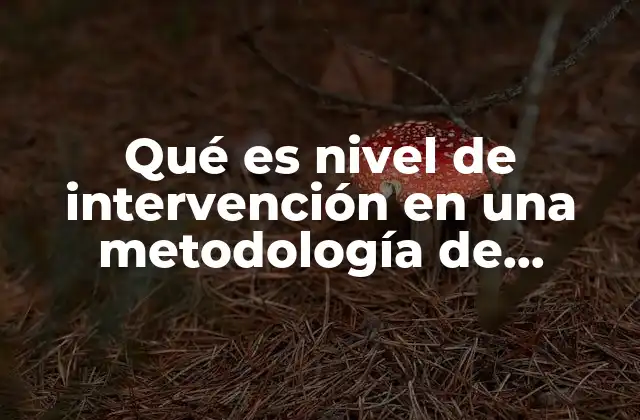 Qué es Nivel de Intervención en una Metodología de Investigación