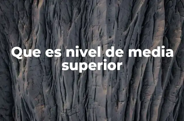 Que es Nivel de Media Superior