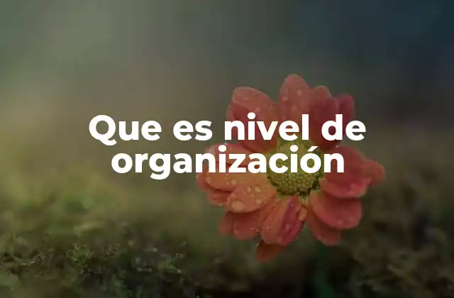 La importancia de los niveles de organización en sistemas complejos