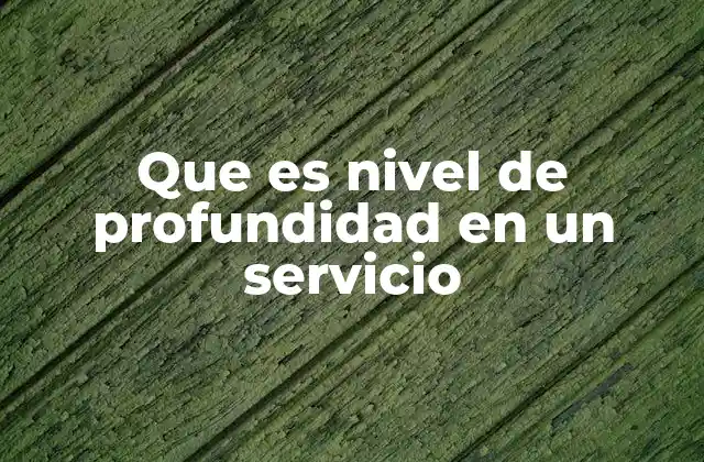 Que es Nivel de Profundidad en un Servicio