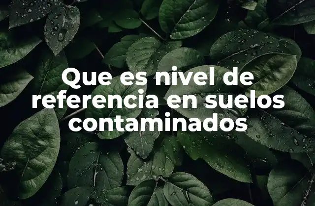 La importancia de los umbrales en la evaluación de suelos