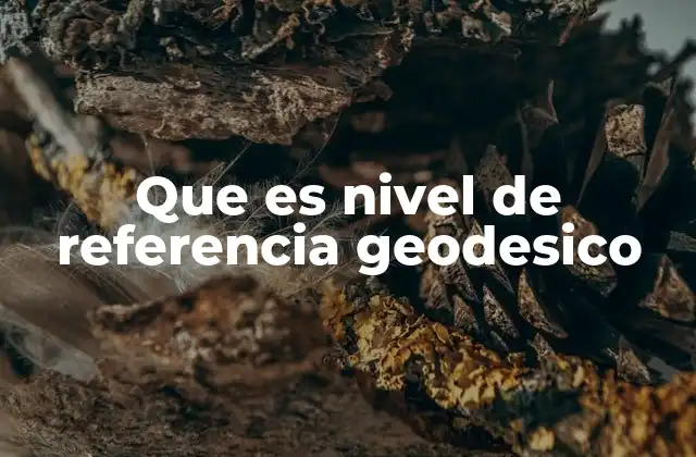 Que es Nivel de Referencia Geodesico