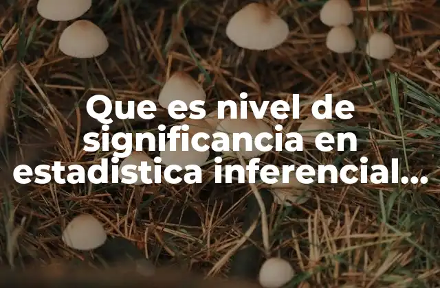 Que es Nivel de Significancia en Estadistica Inferencial Unam