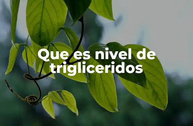 Que es Nivel de Trigliceridos