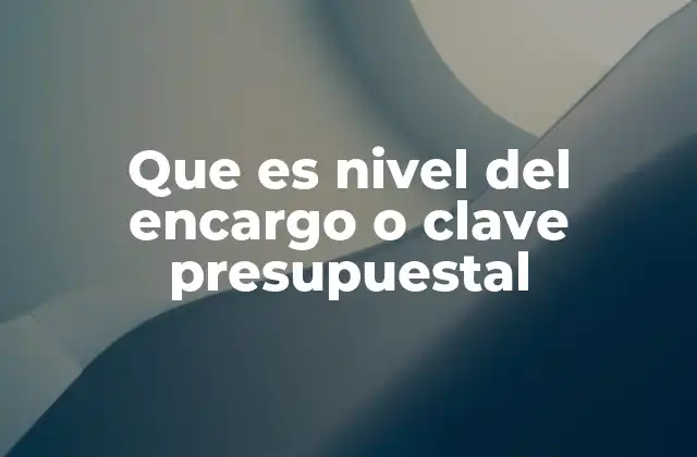 Que es Nivel Del Encargo o Clave Presupuestal 2 La estructura y organización del sistema de claves presupuestales