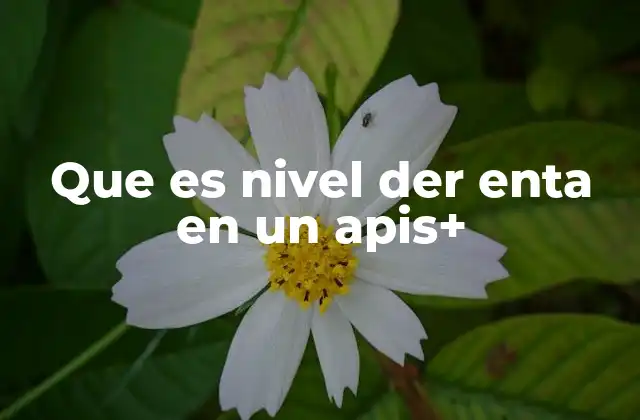 Que es Nivel Der Enta en un Apis+