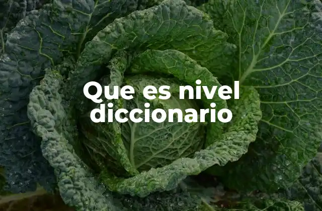 Que es Nivel Diccionario