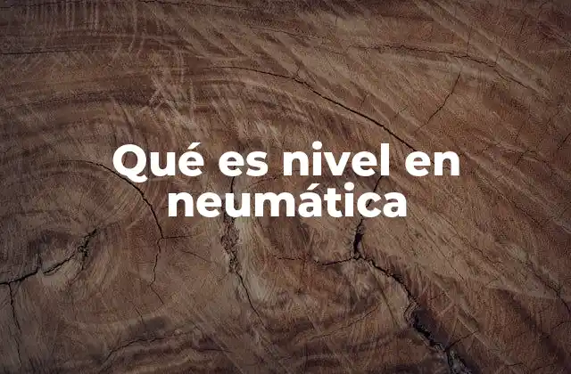 Qué es Nivel en Neumática