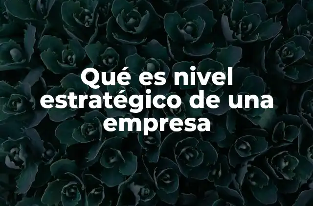 Qué es Nivel Estratégico de una Empresa