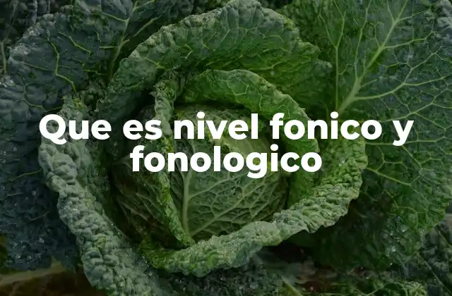 Que es Nivel Fonico y Fonologico