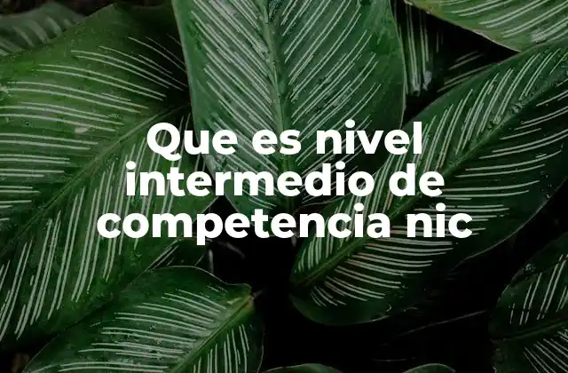 El rol del nivel intermedio en la formación laboral