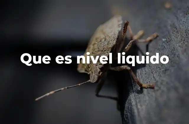 Que es Nivel Liquido