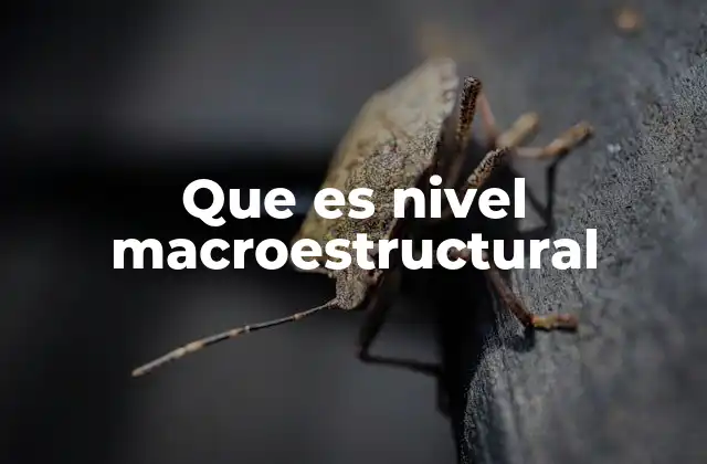 Que es Nivel Macroestructural