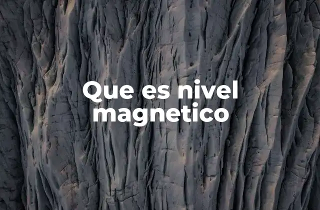 Que es Nivel Magnetico