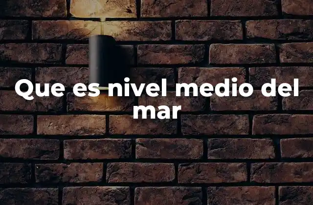 Que es Nivel Medio Del Mar