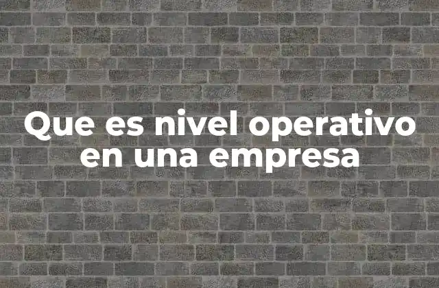 Que es Nivel Operativo en una Empresa