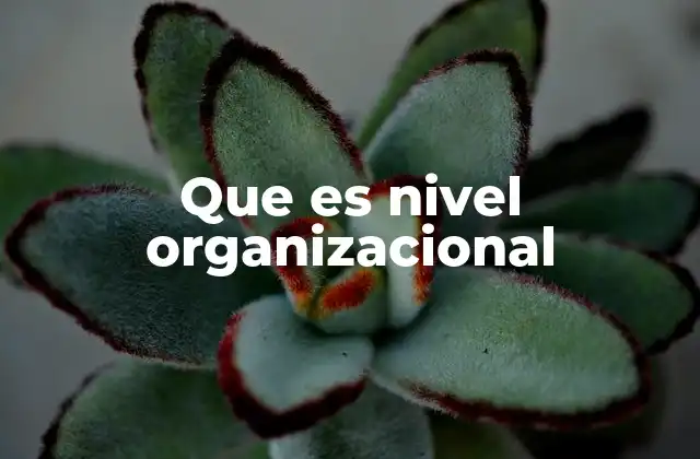 Que es Nivel Organizacional 2 La estructura de una organización y su jerarquía
