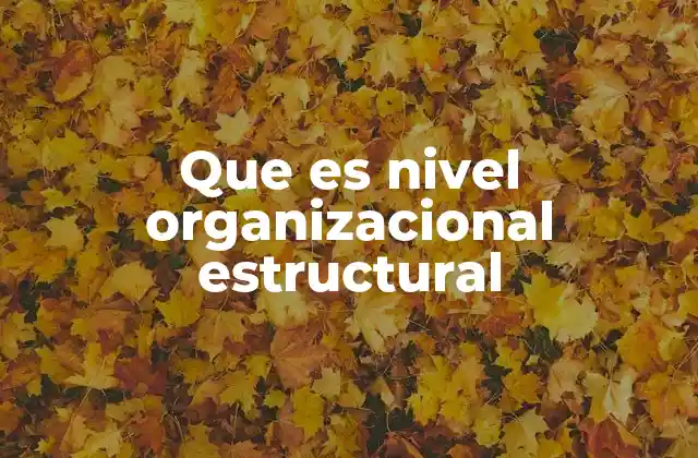 Que es Nivel Organizacional Estructural