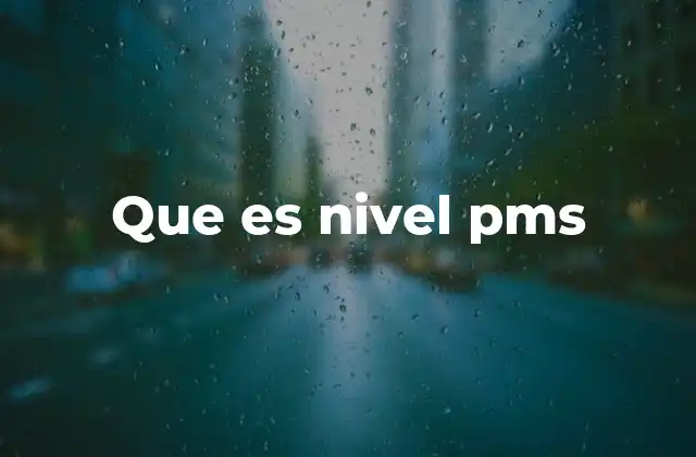 Que es Nivel Pms