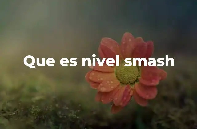 Que es Nivel Smash