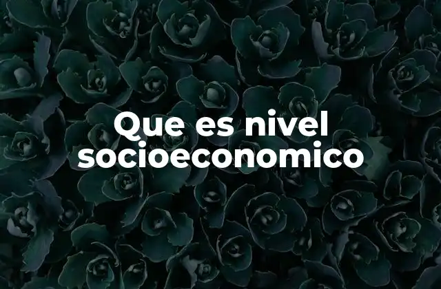 Que es Nivel Socioeconomico