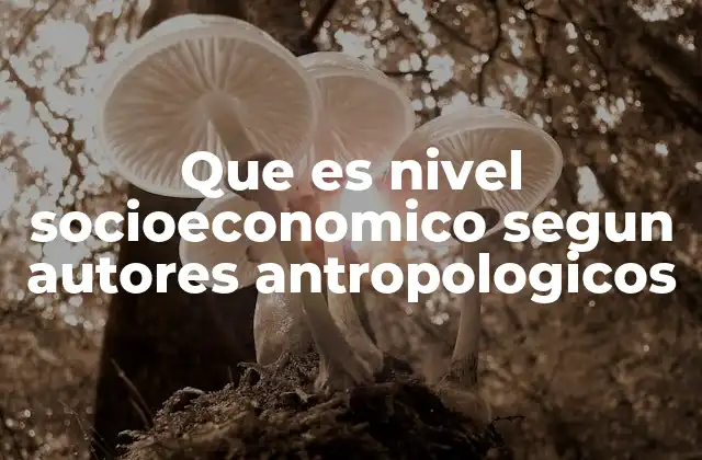 Que es Nivel Socioeconomico Segun Autores Antropologicos